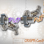 La edición genética y el resurgimiento de especies extintas: CRISPR-Cas9 (90)