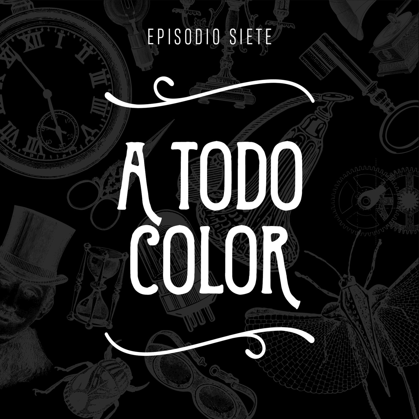 Gabinete de curiosidades