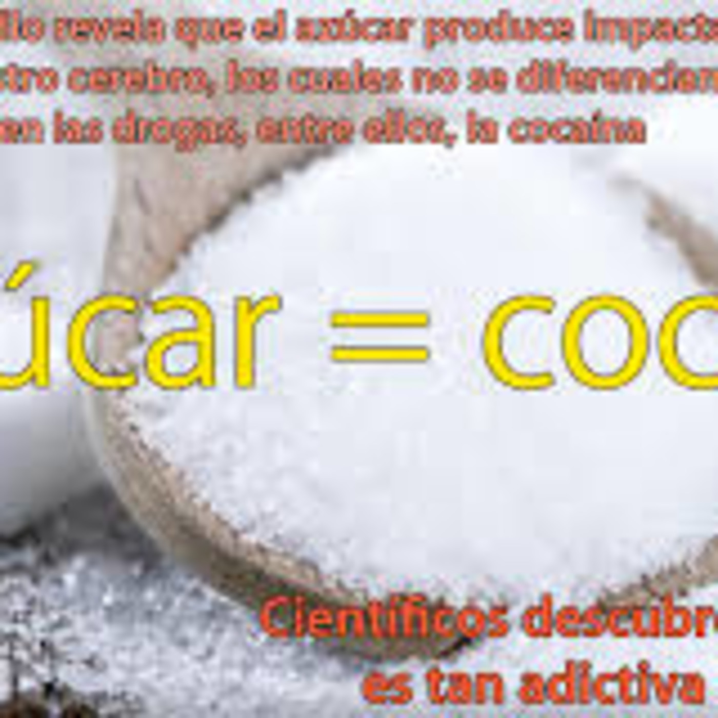 Comida vegetariana. comida civilizada, comida huma