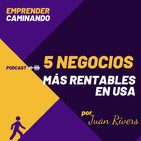 Los 5 NEGOCIOS MÁS RENTABLES de Empresarios UNIPERSONALES en USA