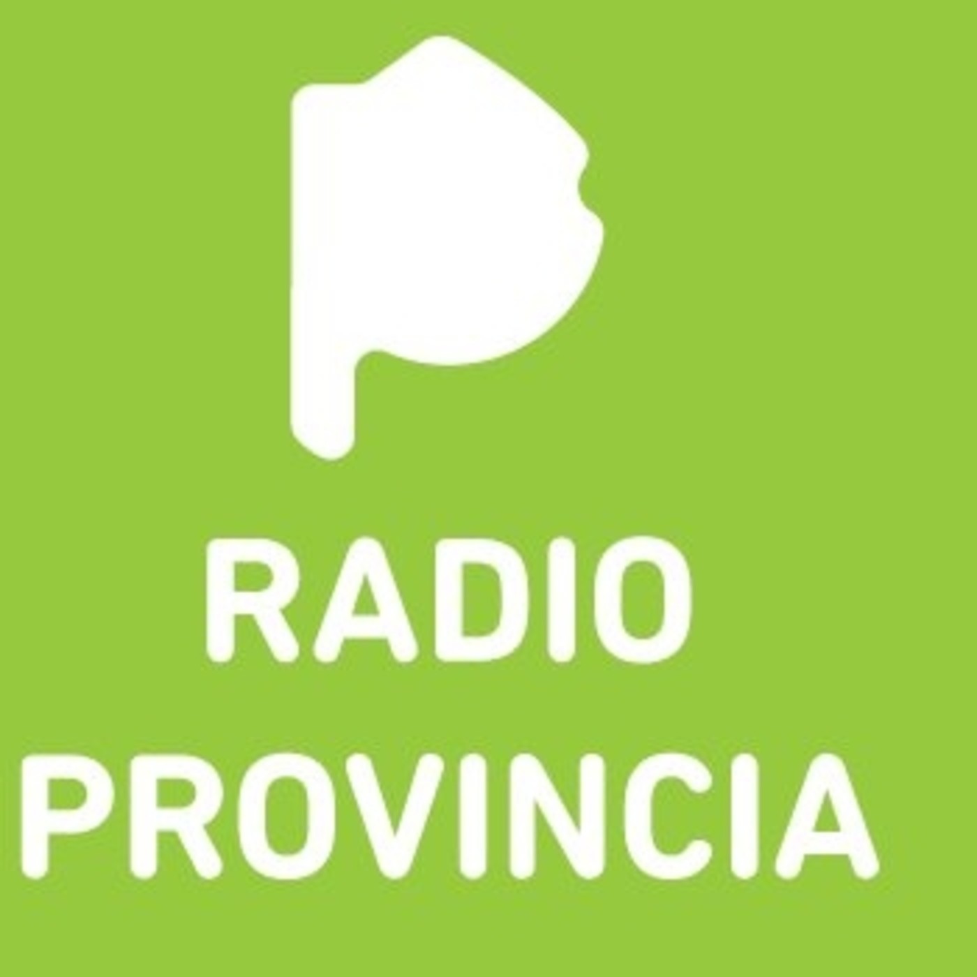 Panorama Informativo de las 13:00