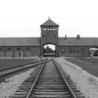 T1E6_El holocausto
