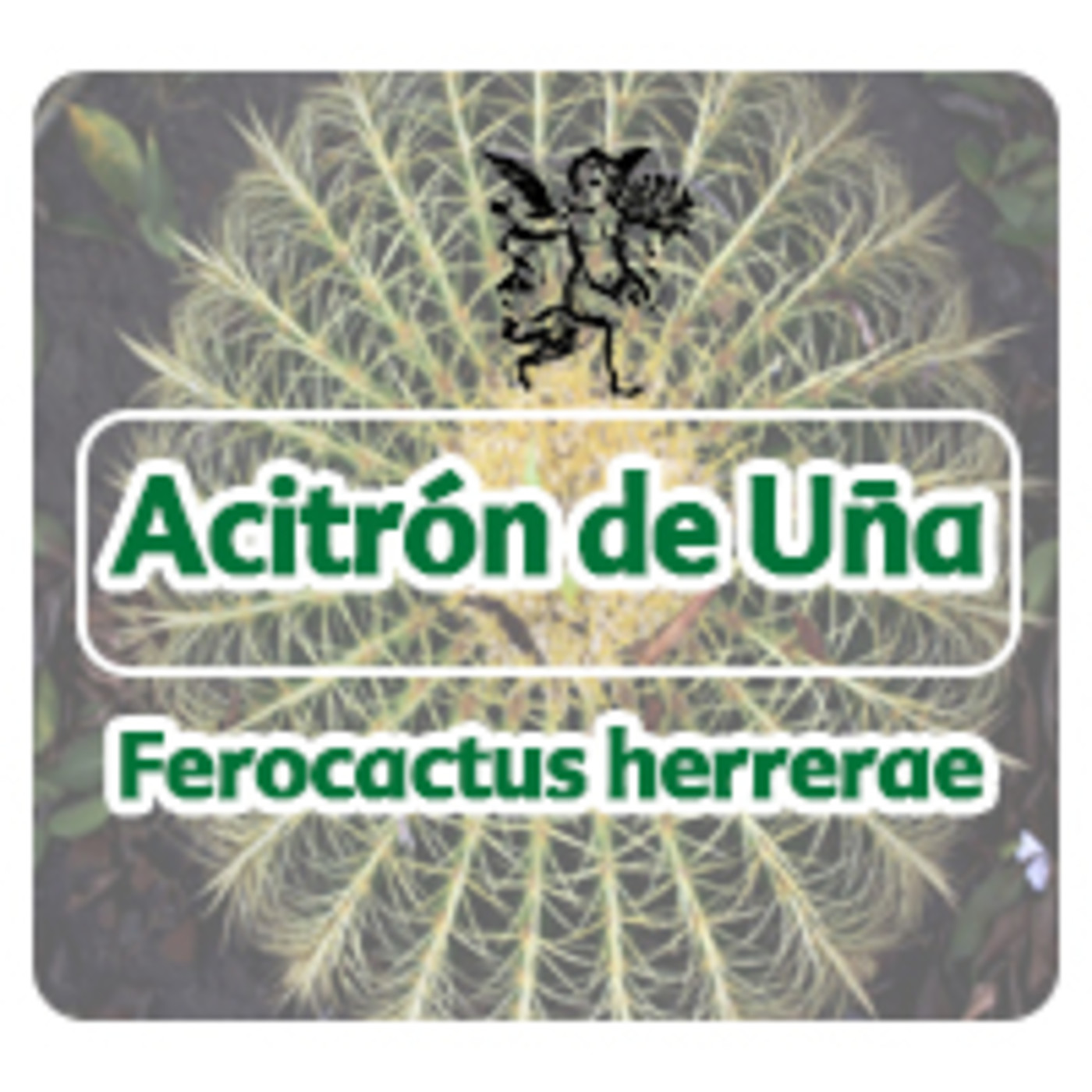 El Angel de tu Salud - ACITRÓN DE UÑA **** episode artwork