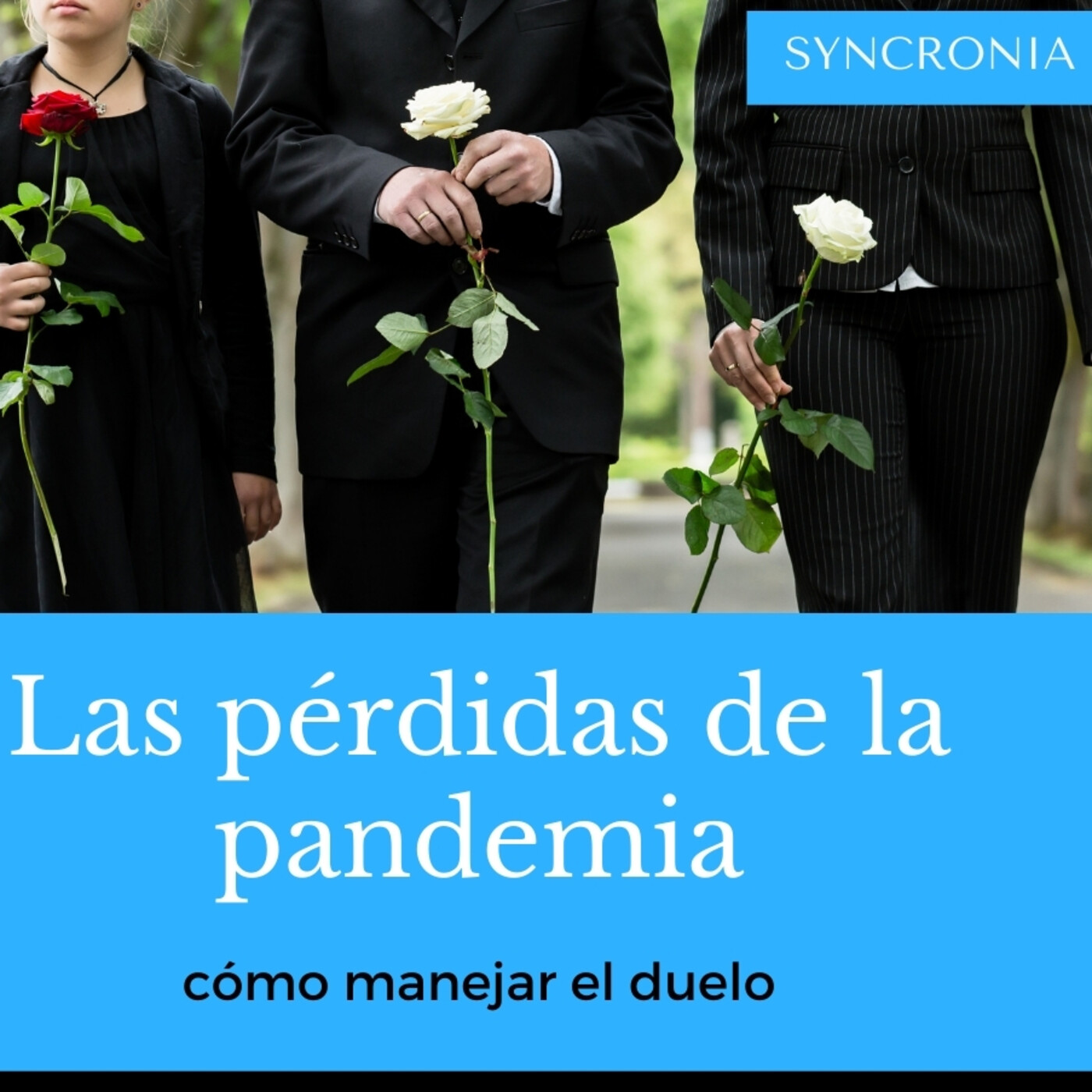 Charlas Syncronia
