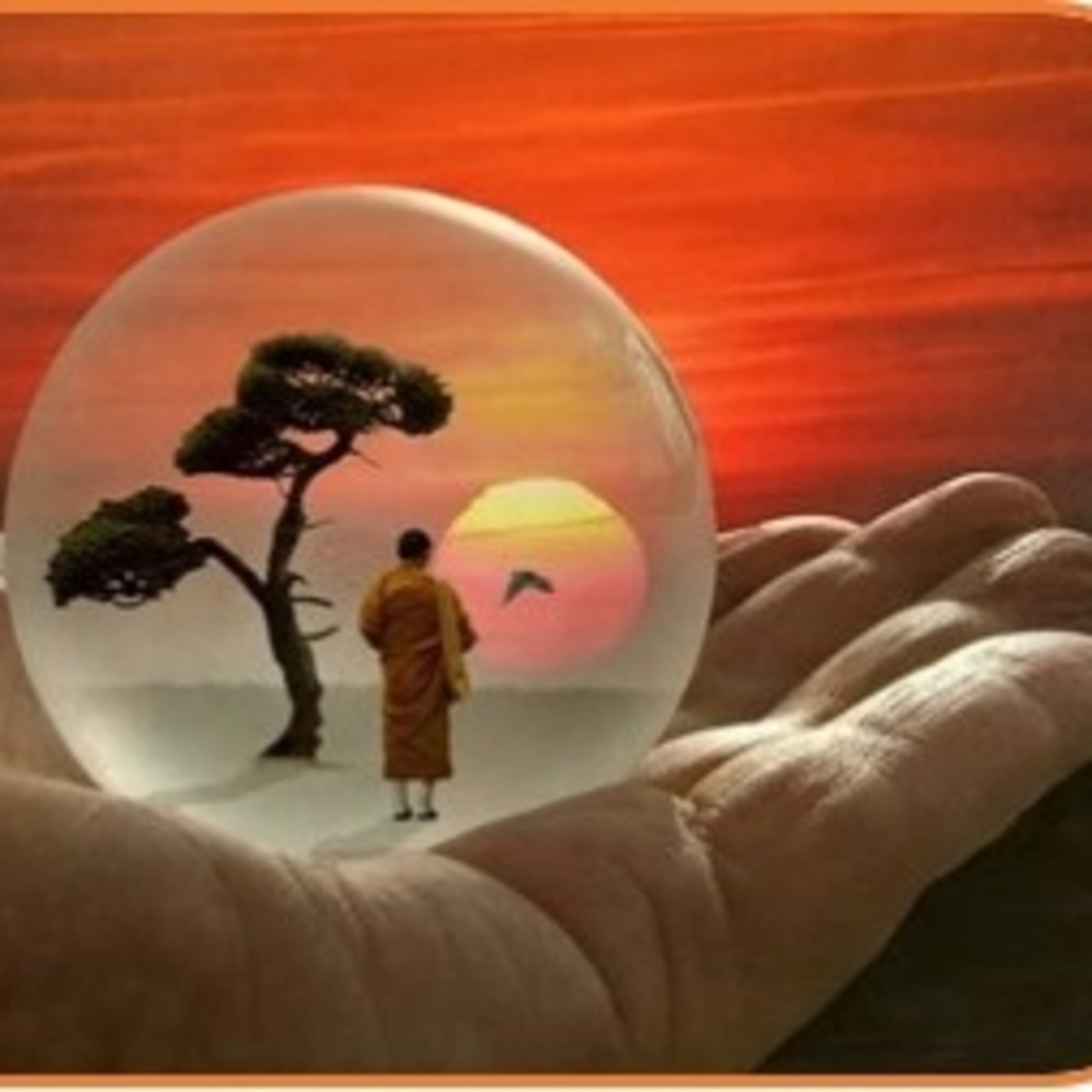 Manuel de Instrucciones 2019