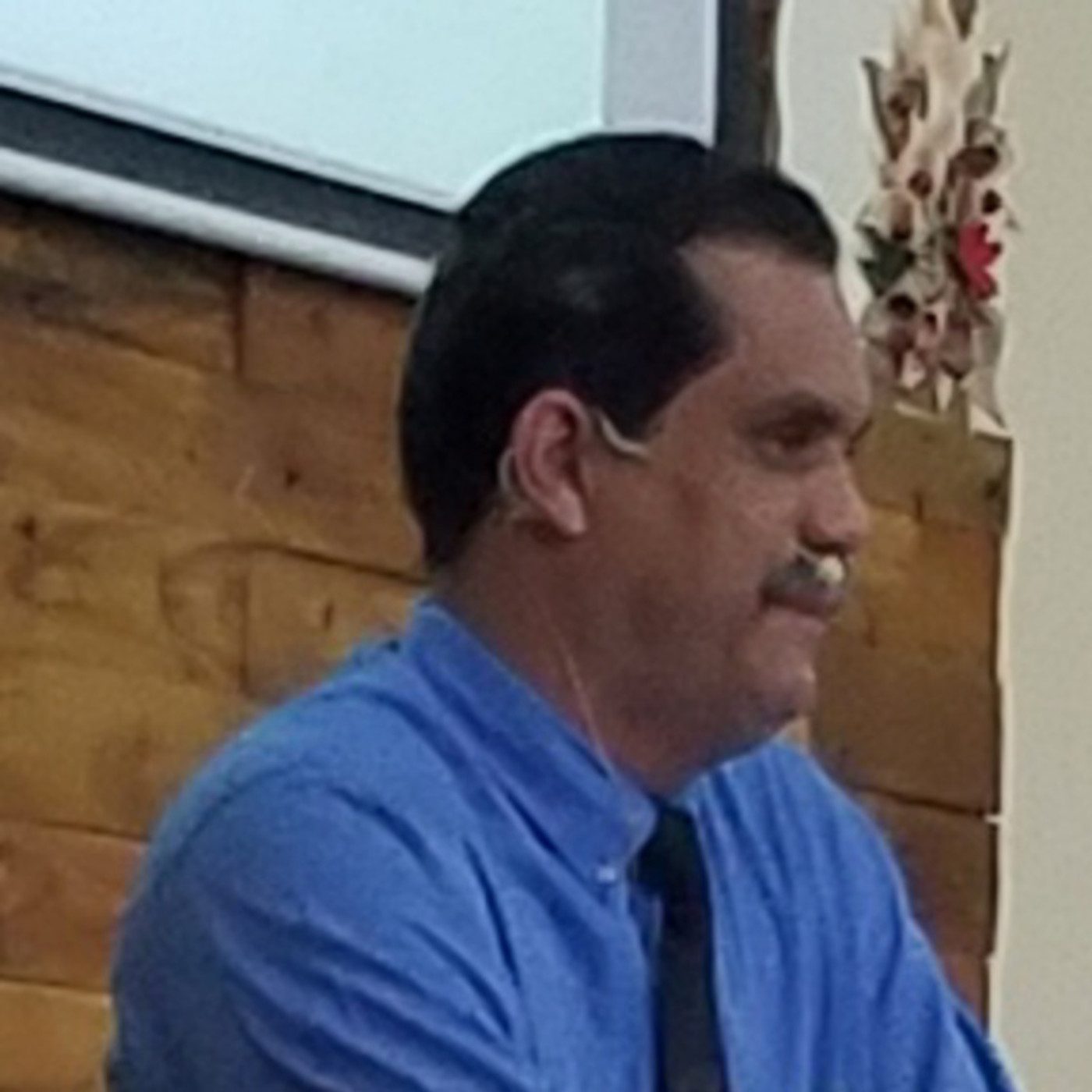 Sermones IBR