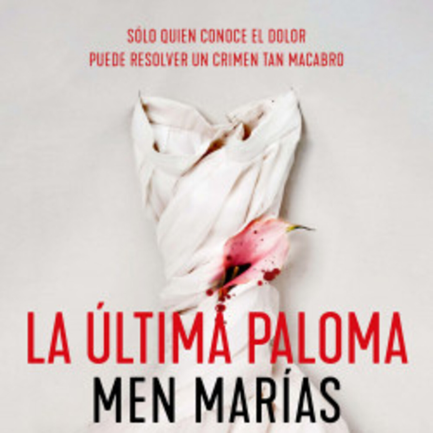 Paseando a miss cultura