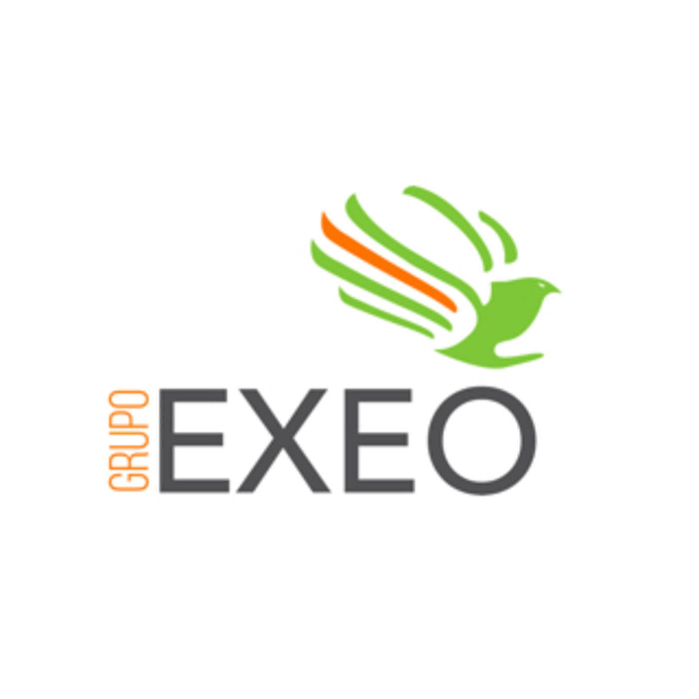 GRUPO EXEO