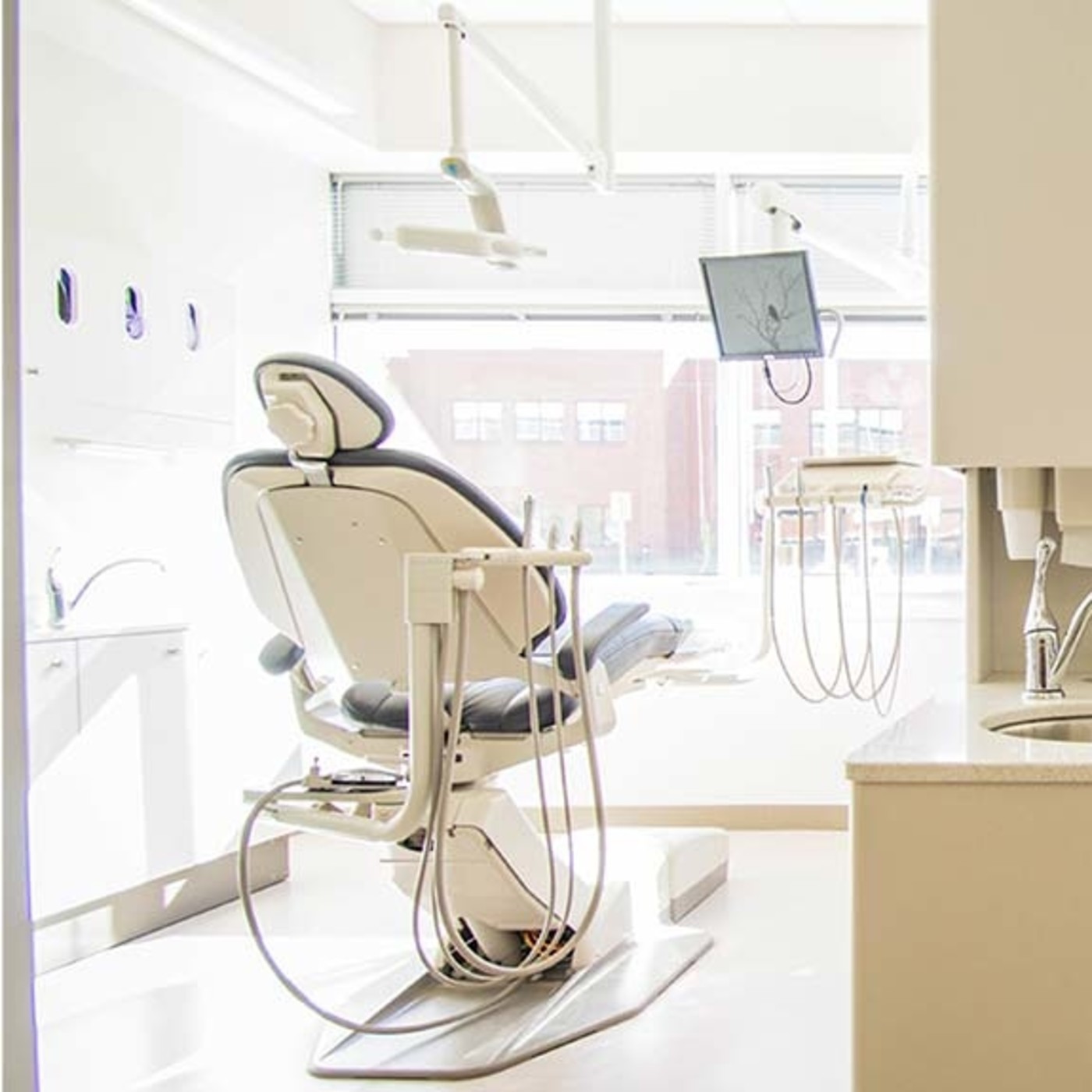 Salud Bucodental