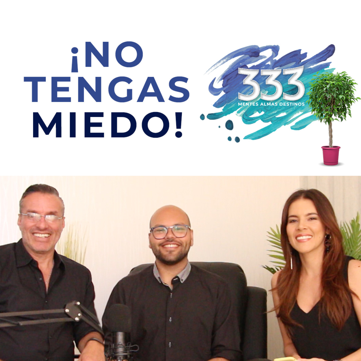 Método 333
