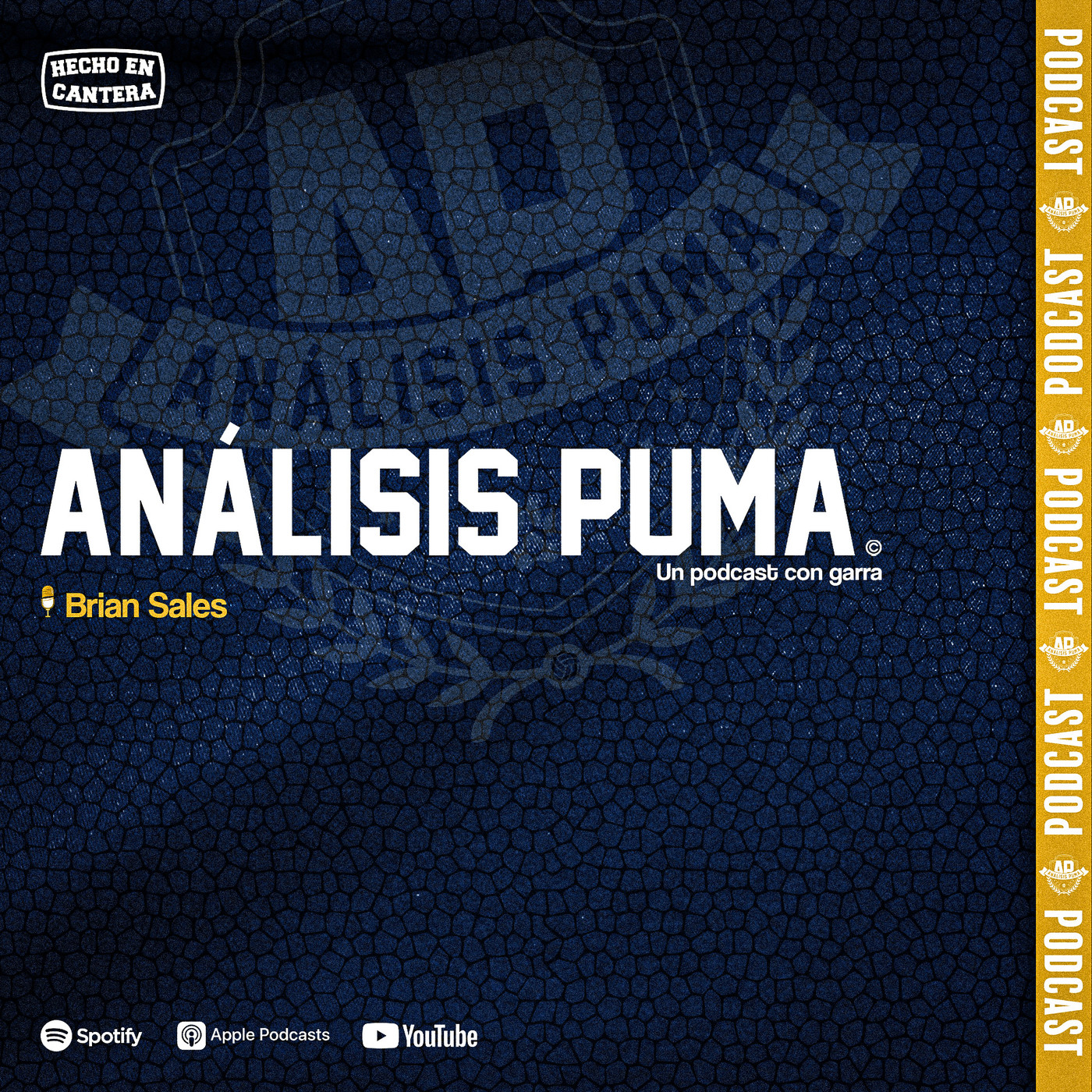 Análisis Puma