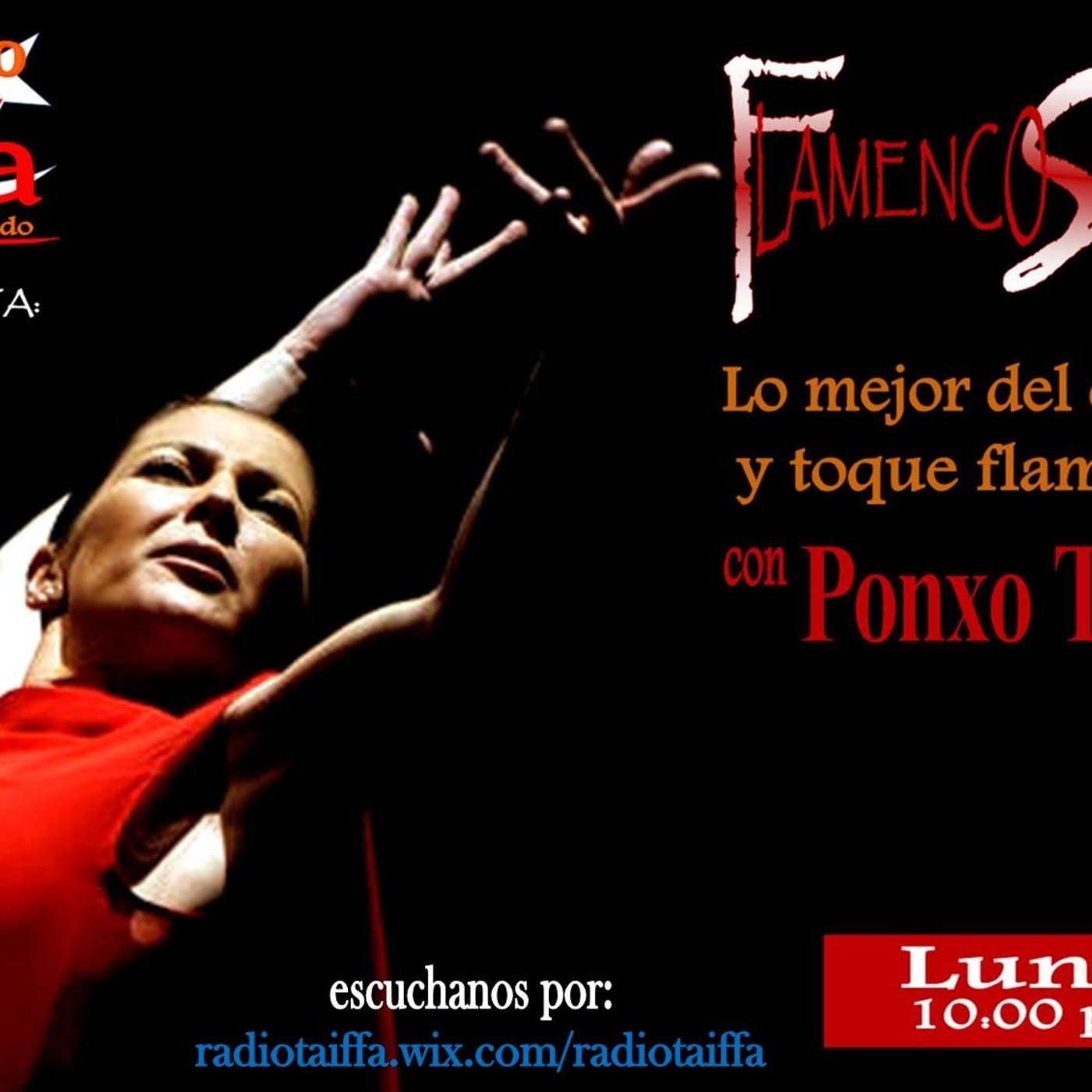 FLAMENCO SOY