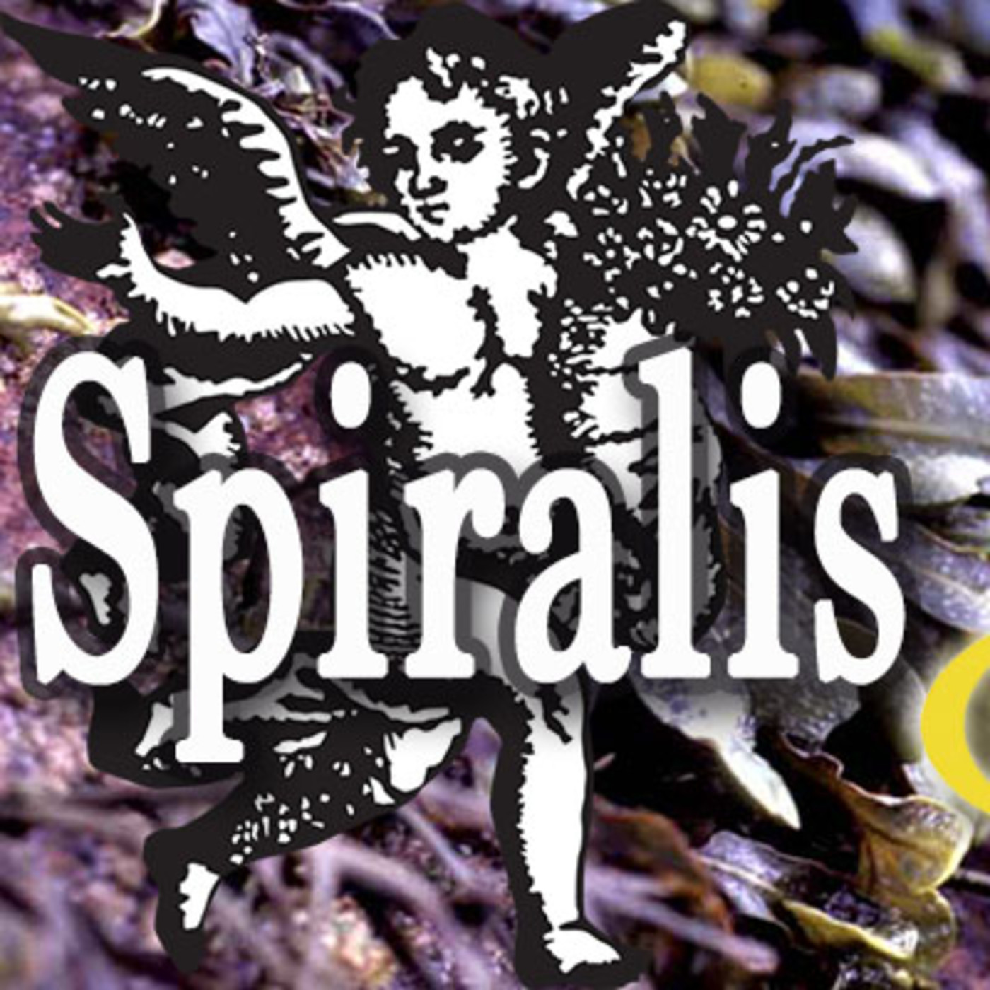 El Ángel de tu Salud - SPIRALIS episode artwork
