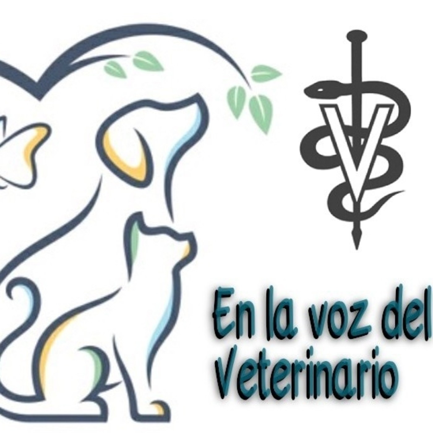 En la Voz del Veterinario 300321 p131 episode artwork