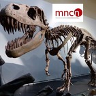 Un paseo por el Museo Nacional de Ciencias Naturales de Madrid (92)