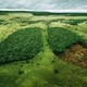 Contaminación Ambiental