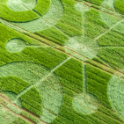 30-05-2018 Crop Circle en Buckland Down, Dorset (Inglaterra) del 26 de Mayo