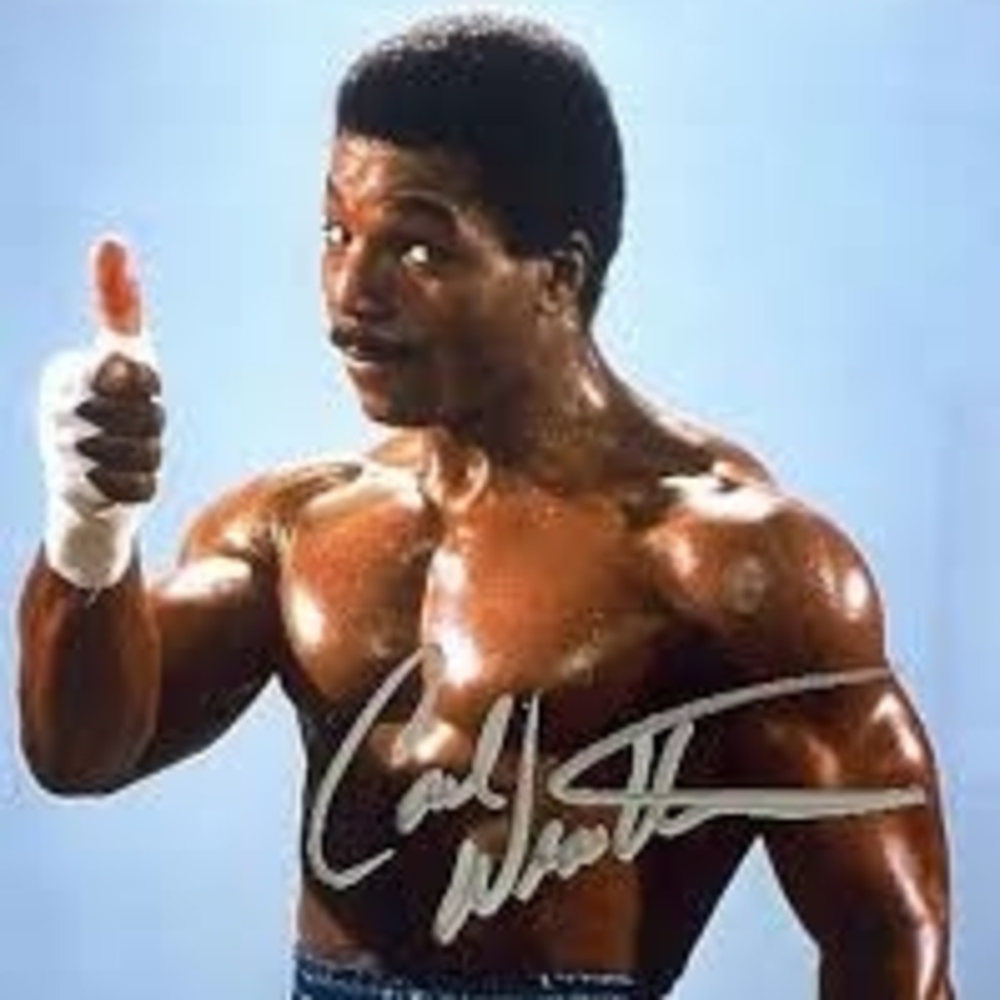 Stallone de mi vida