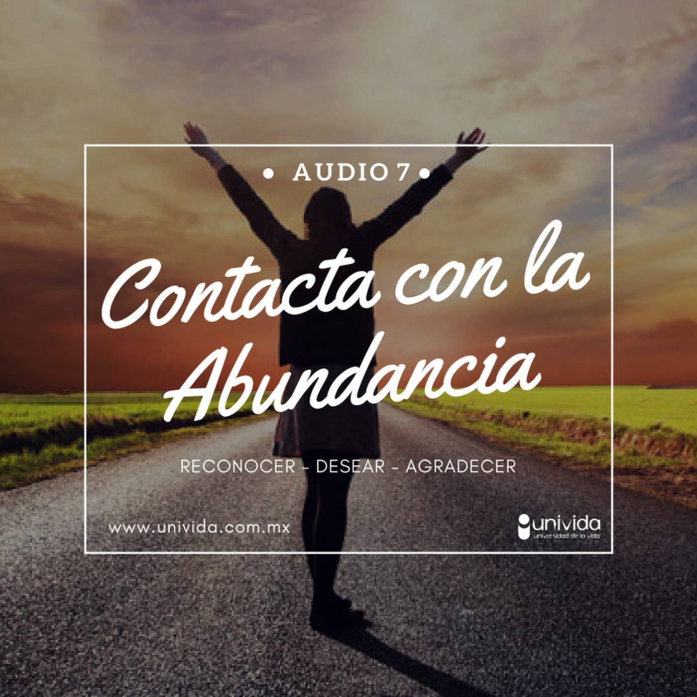 Conecta con la Abundancia |Audio 7