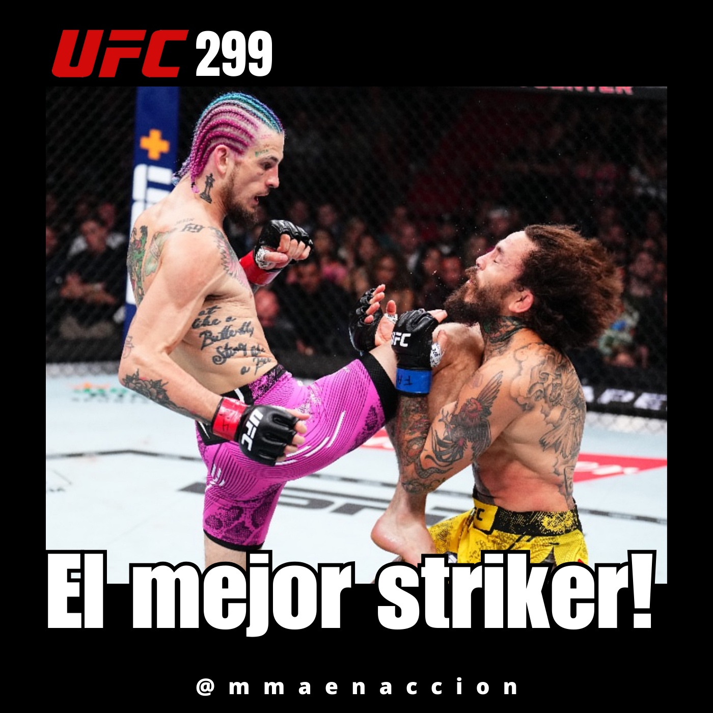 MMA en acción