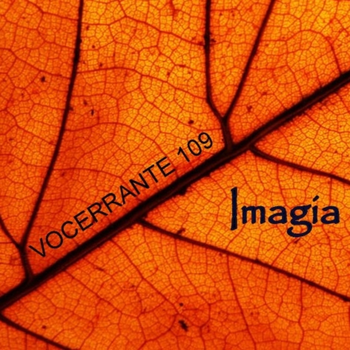 Podcast de Vocerrante