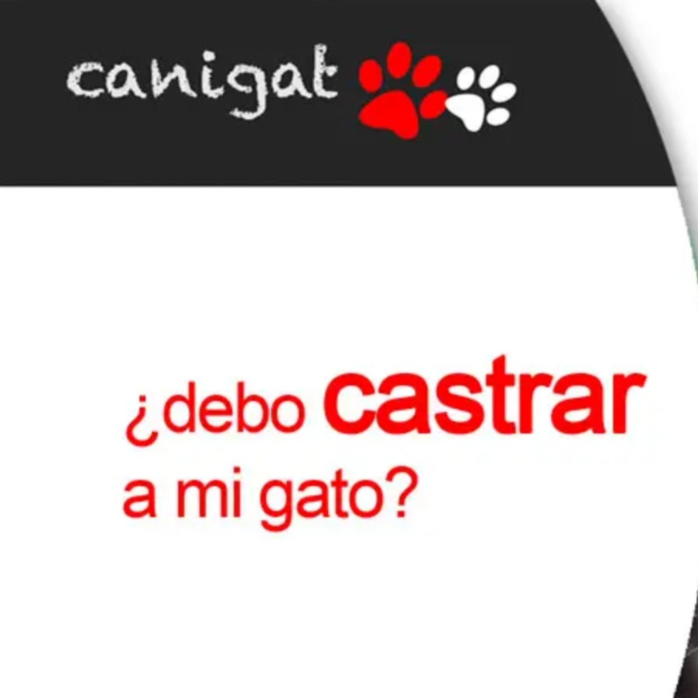 Consejos veterinarios de perros y gatos by canigat