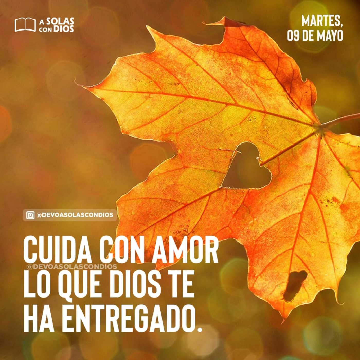 A Solas con Dios