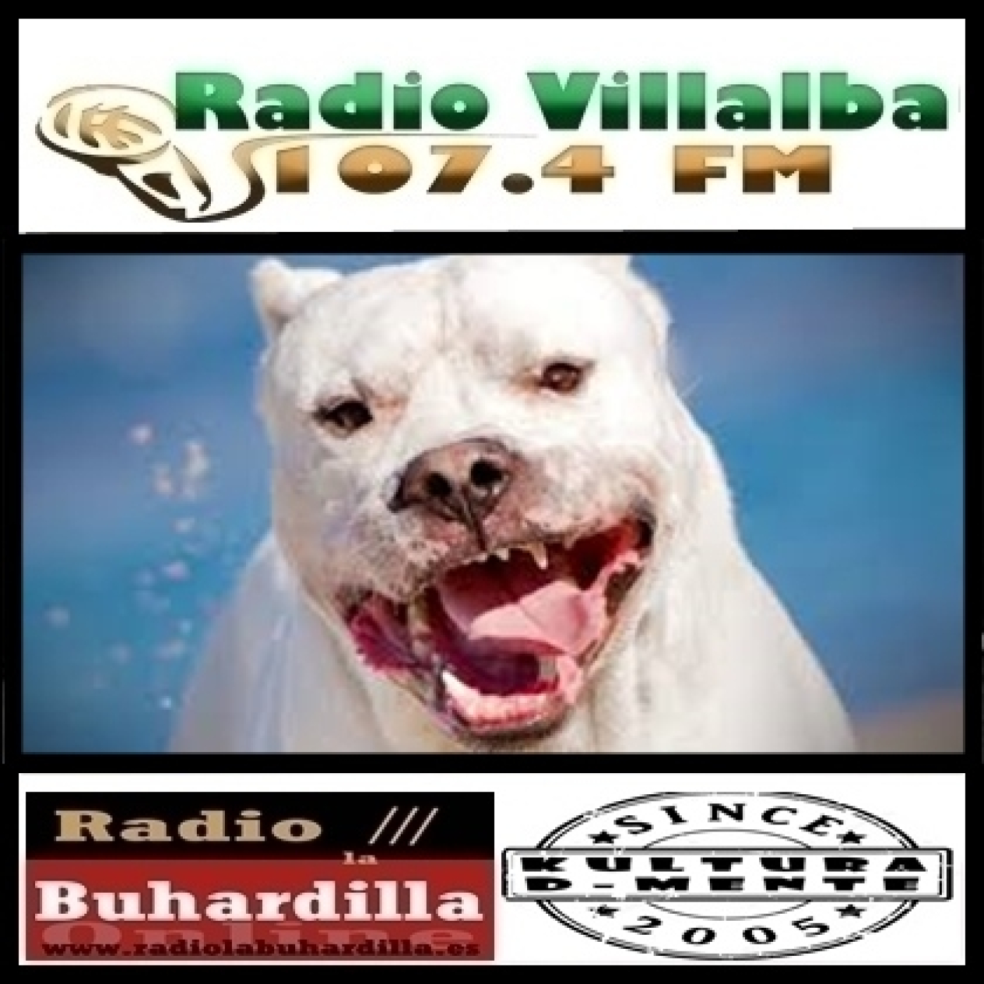 Kultura D-Mente 05/06/22 16x34 Que los perros ladren! episode artwork