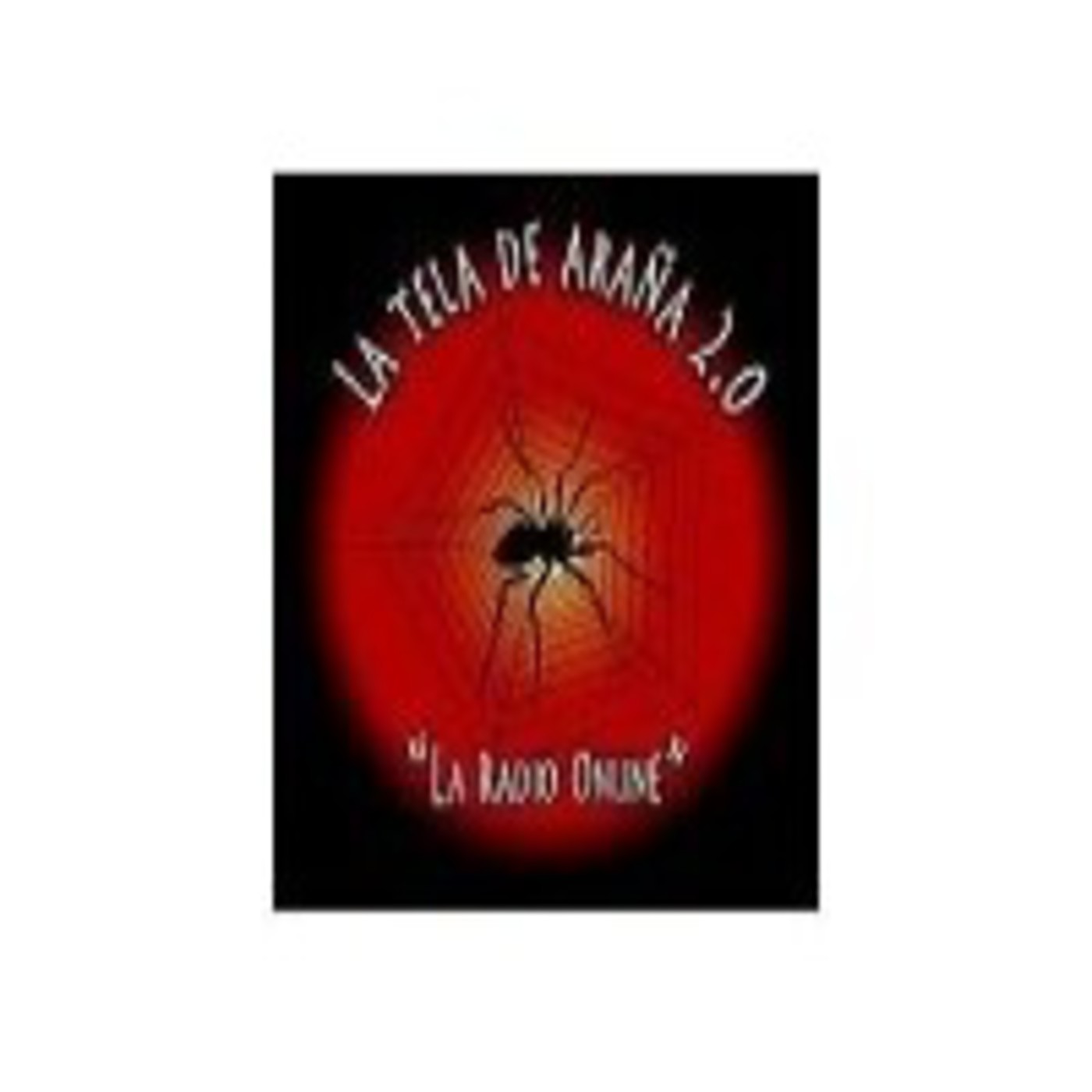 La Tela de Araña Programa nº 35