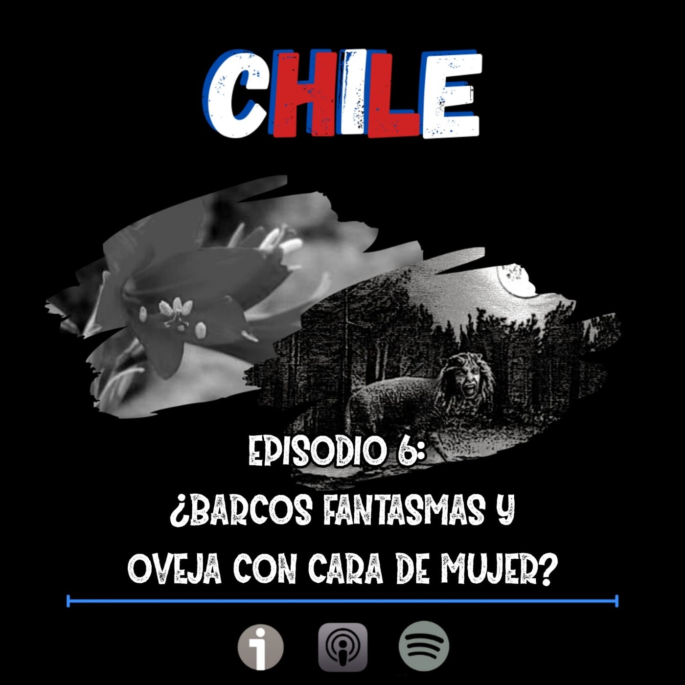 Turno Noche