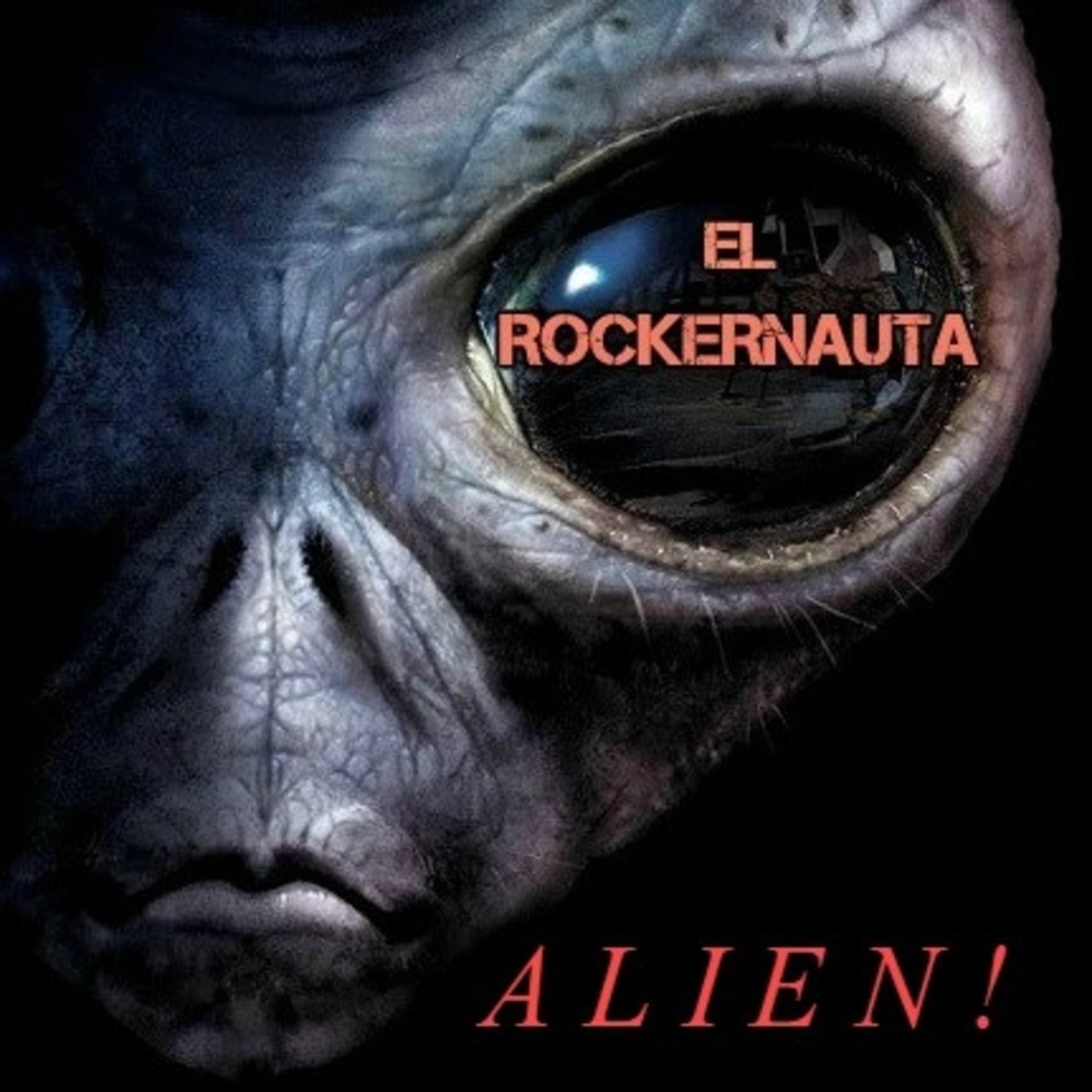 EL ROCKERNAUTA