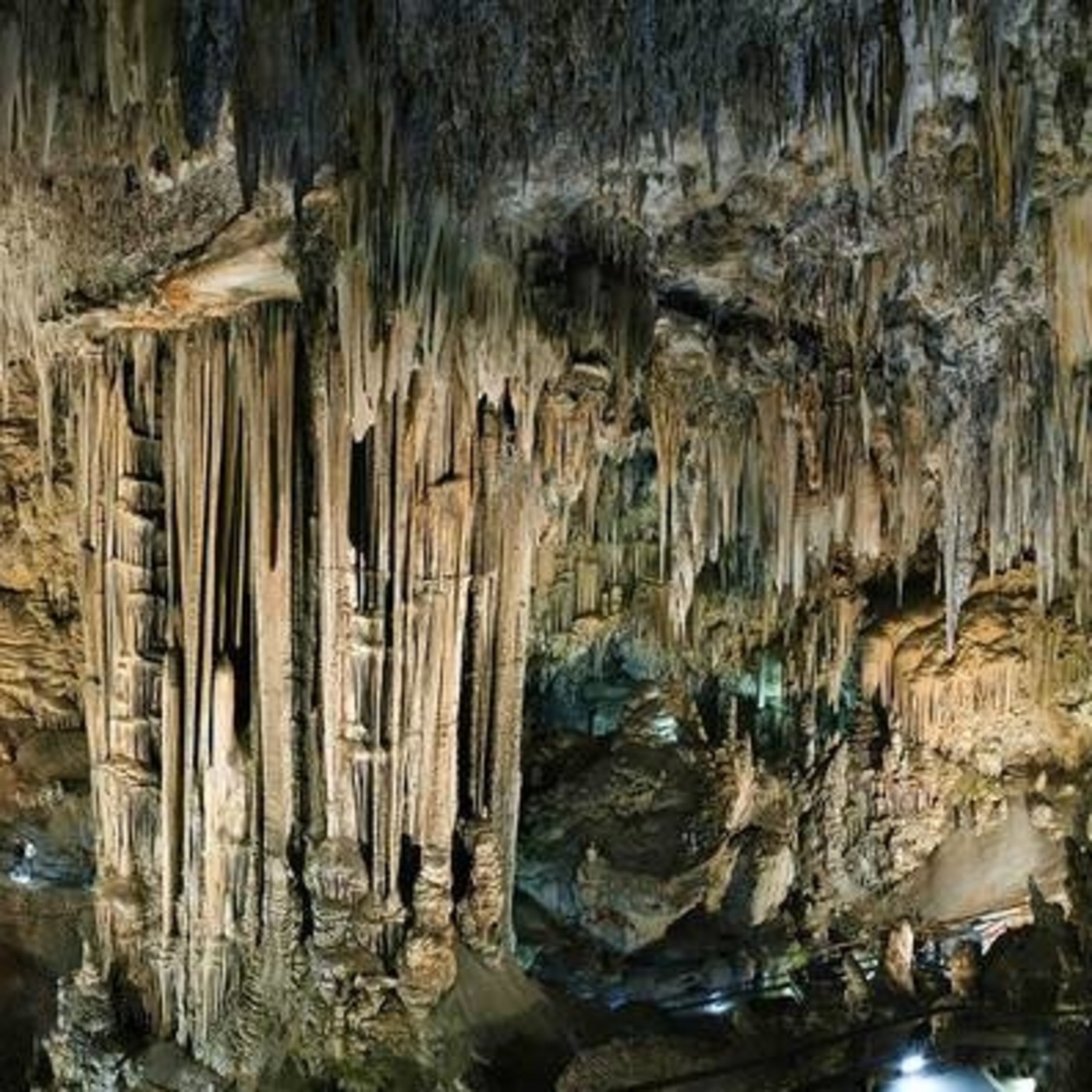 Aránzazu Núñez Lozano