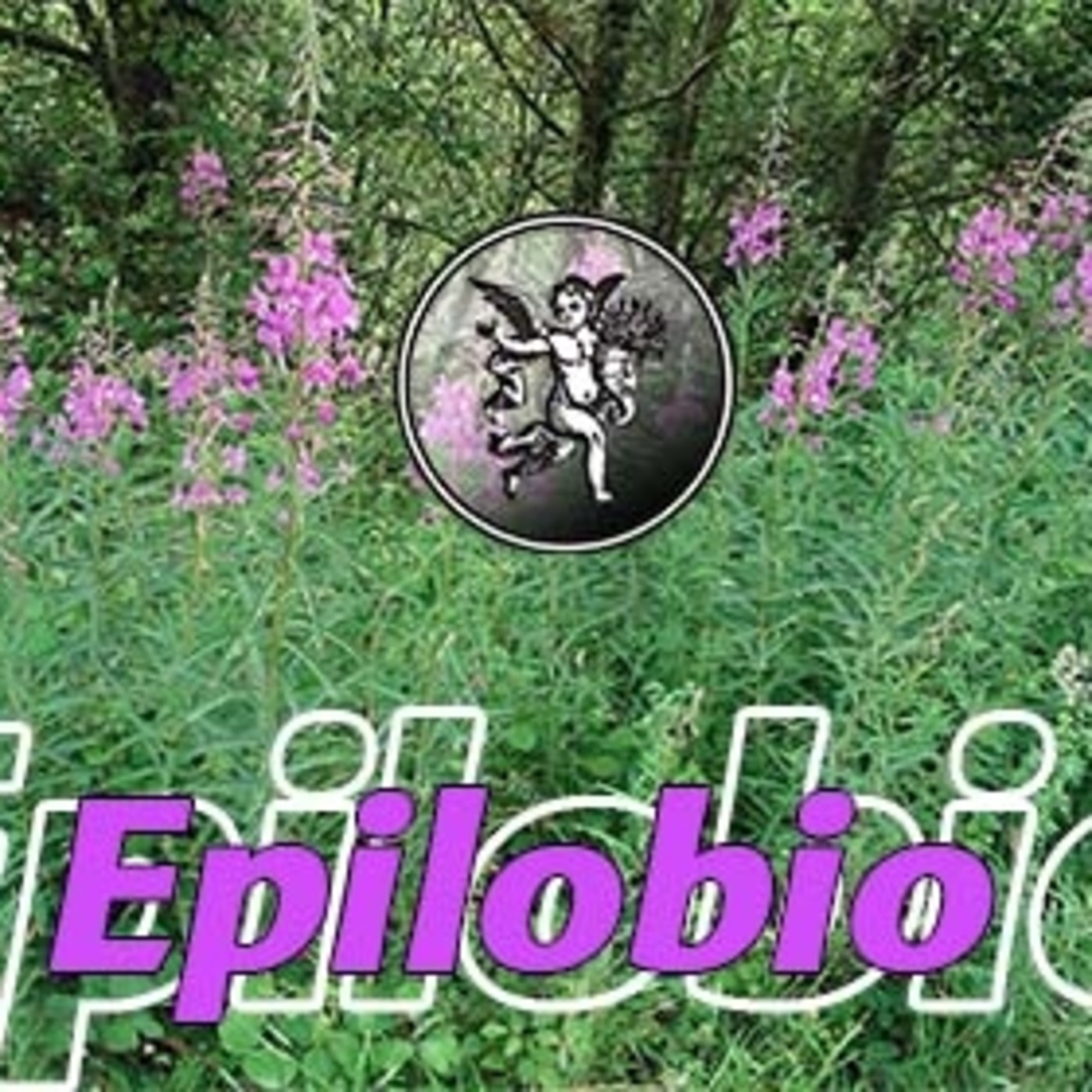 El Ángel de tu Salud - EPILOBIO*