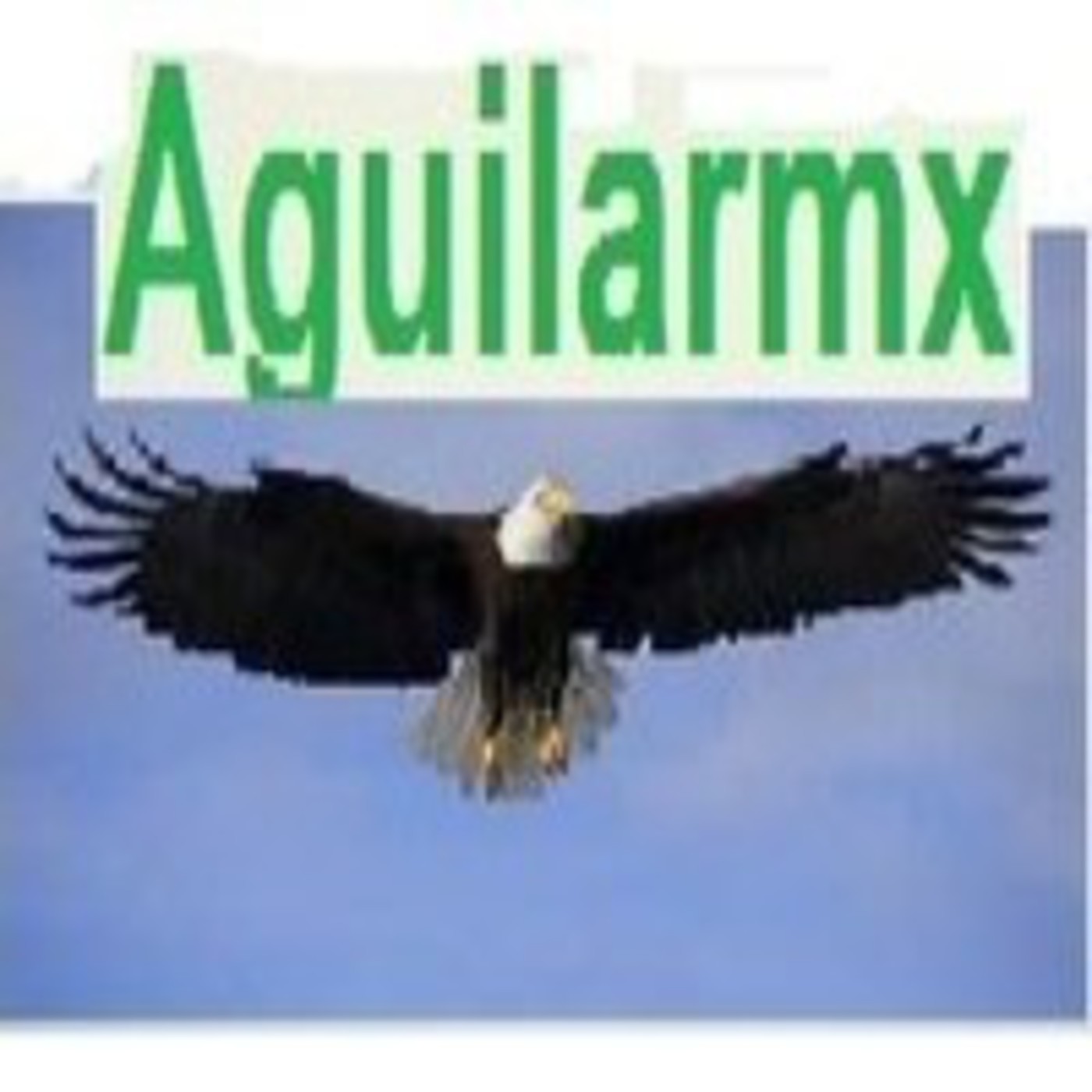 Aguilarmx: la ciencia