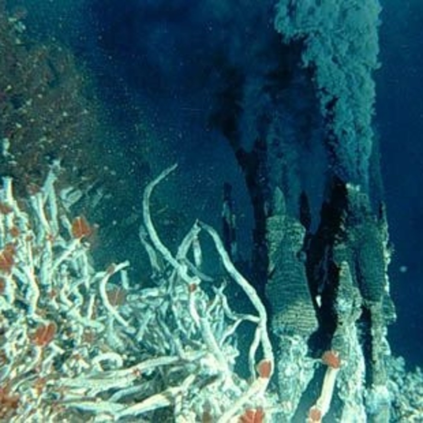 Ciencia en Más de Uno s03e04: Las fumarolas, oasis en el fondo del mar; historia del pijama; Buckminster Fuller