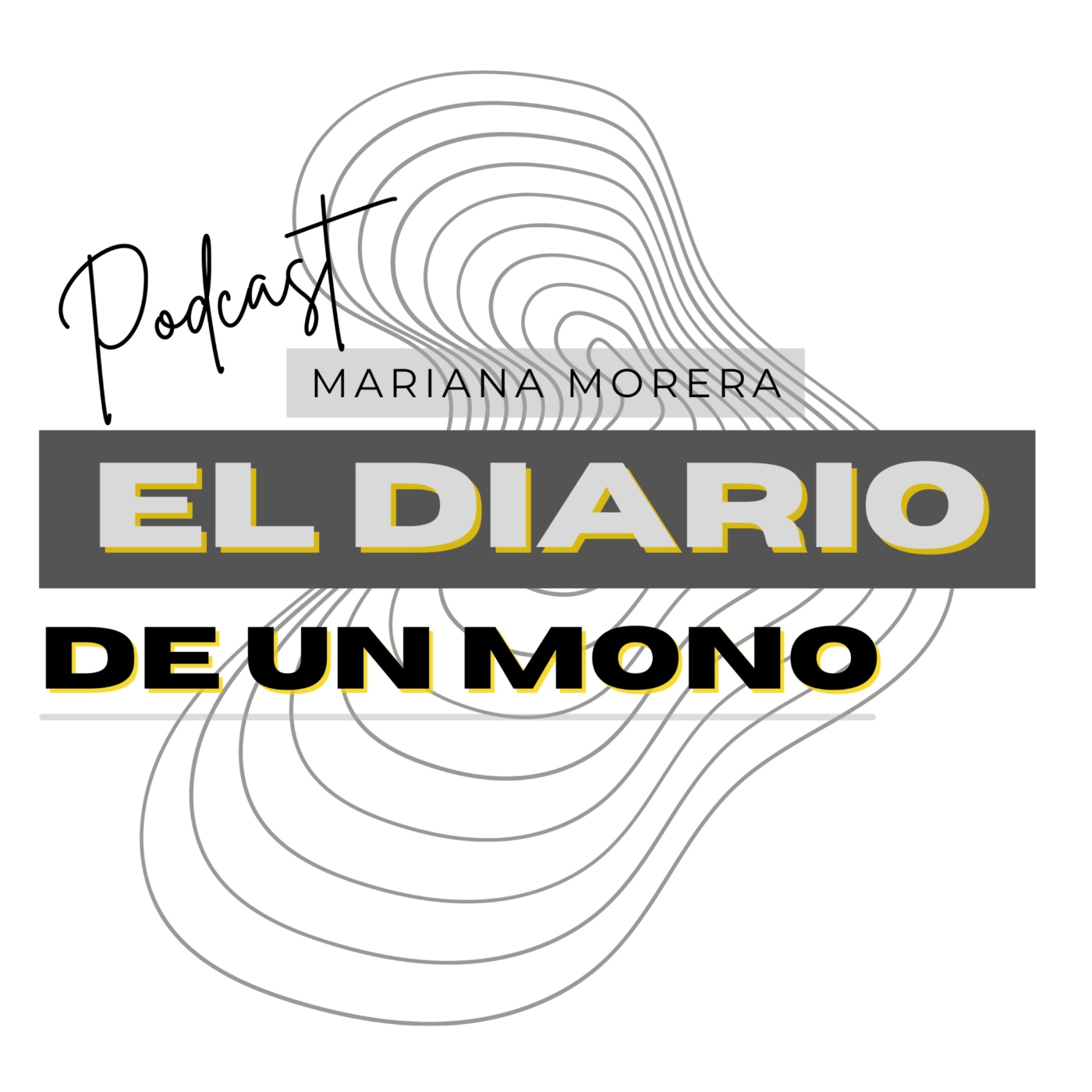 El Diario de un artista