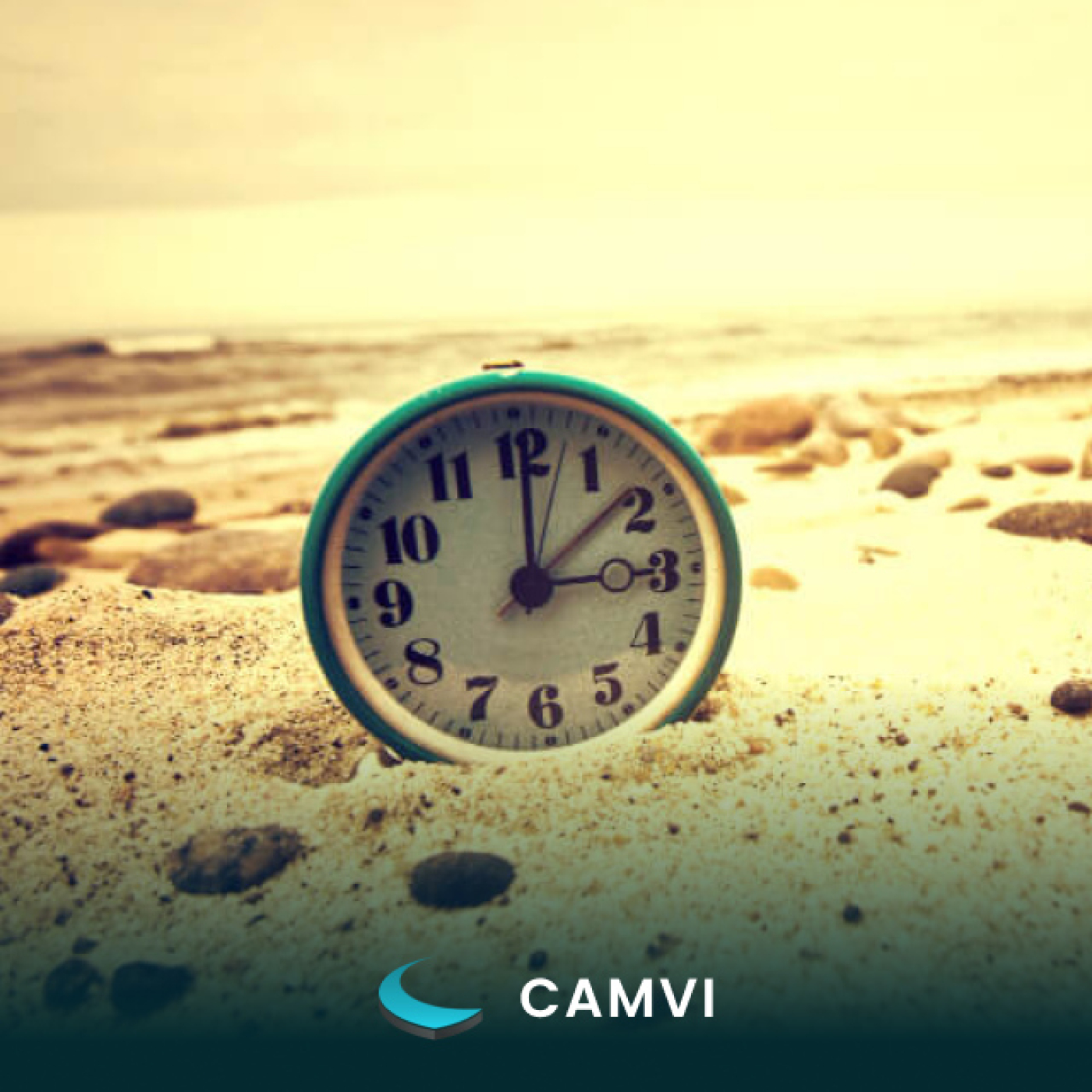 CAMVI