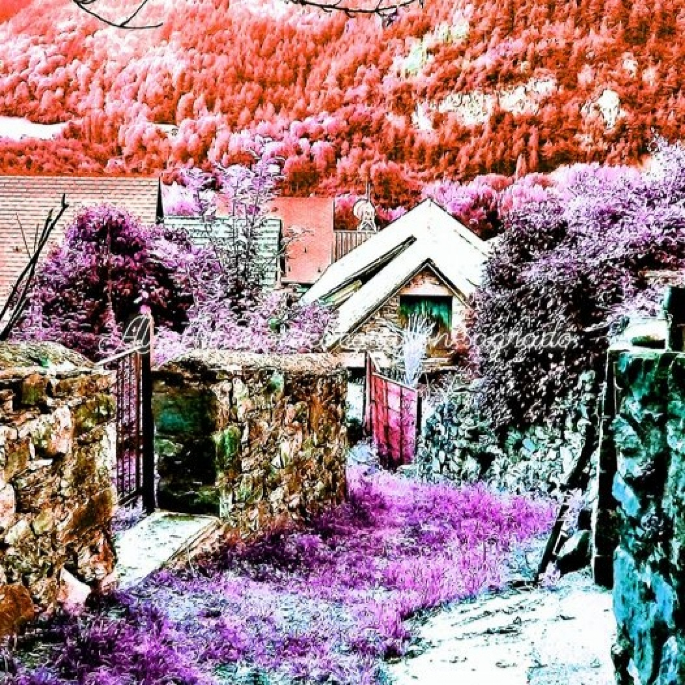 Noches En la Hoguera