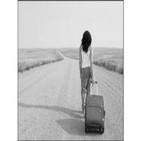 El Viaje del 2013