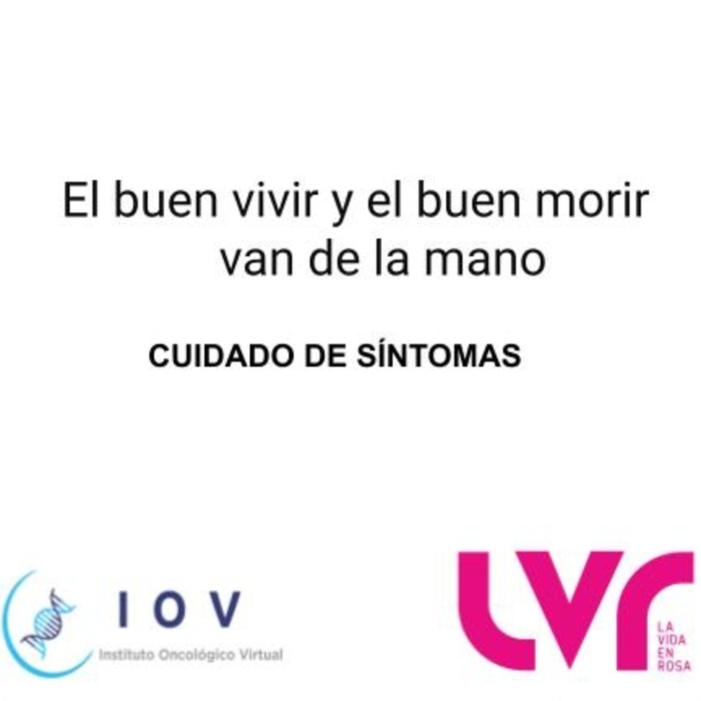 Revista La Vida en Rosa: ENTREVISTAS