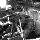 Luis Tobajas: Los terroríficos leones de Tsavo
