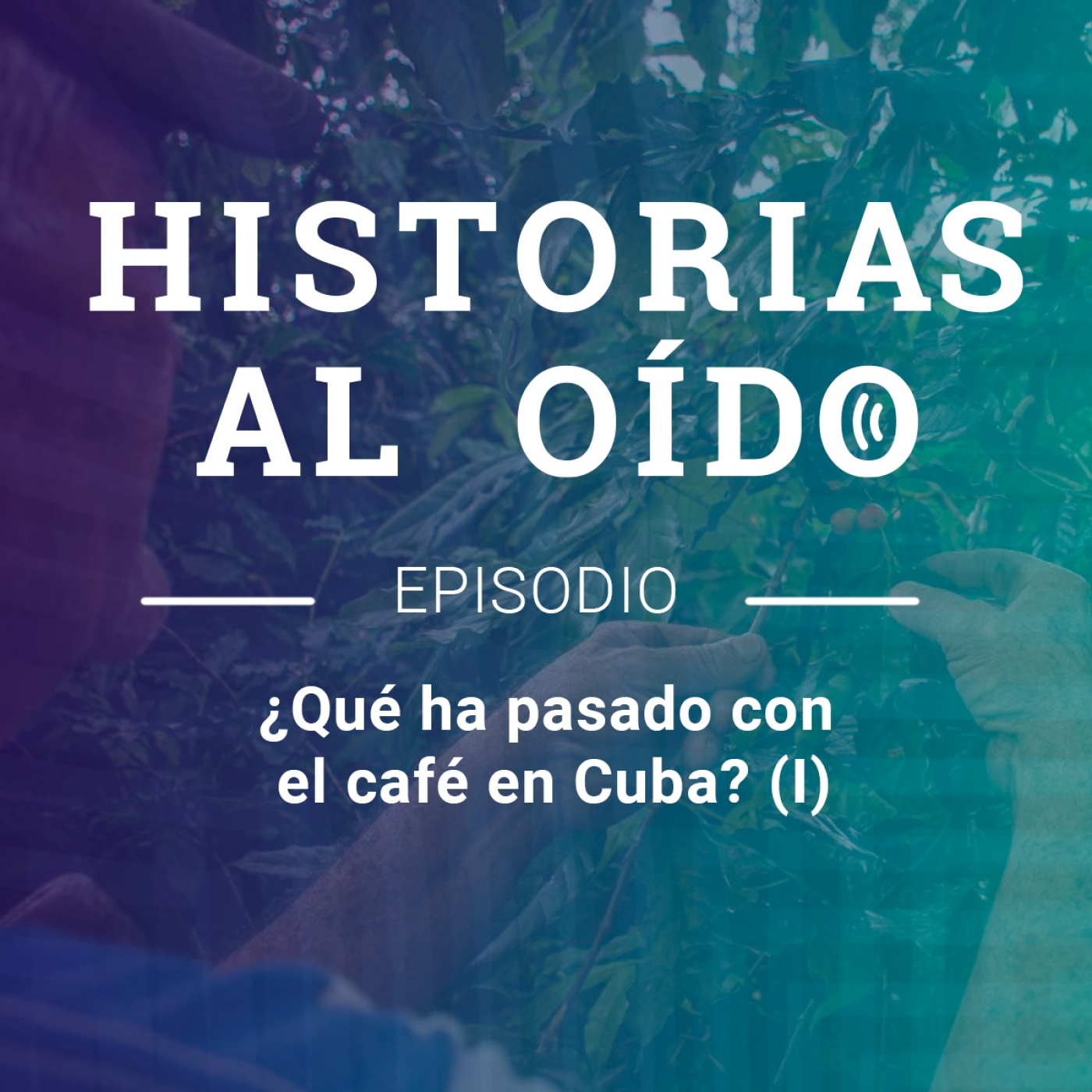¿Qué ha pasado con el café en Cuba? (I) episode artwork