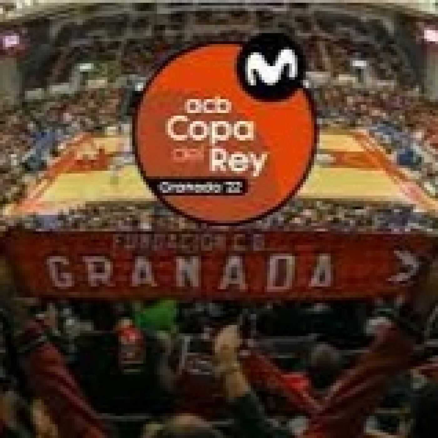 Pasión Por El Baloncesto