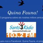 Quina Fauna! David Pumarola; Herpes i contractures. 13-03-16