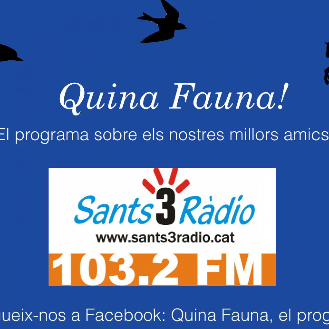 Quina Fauna