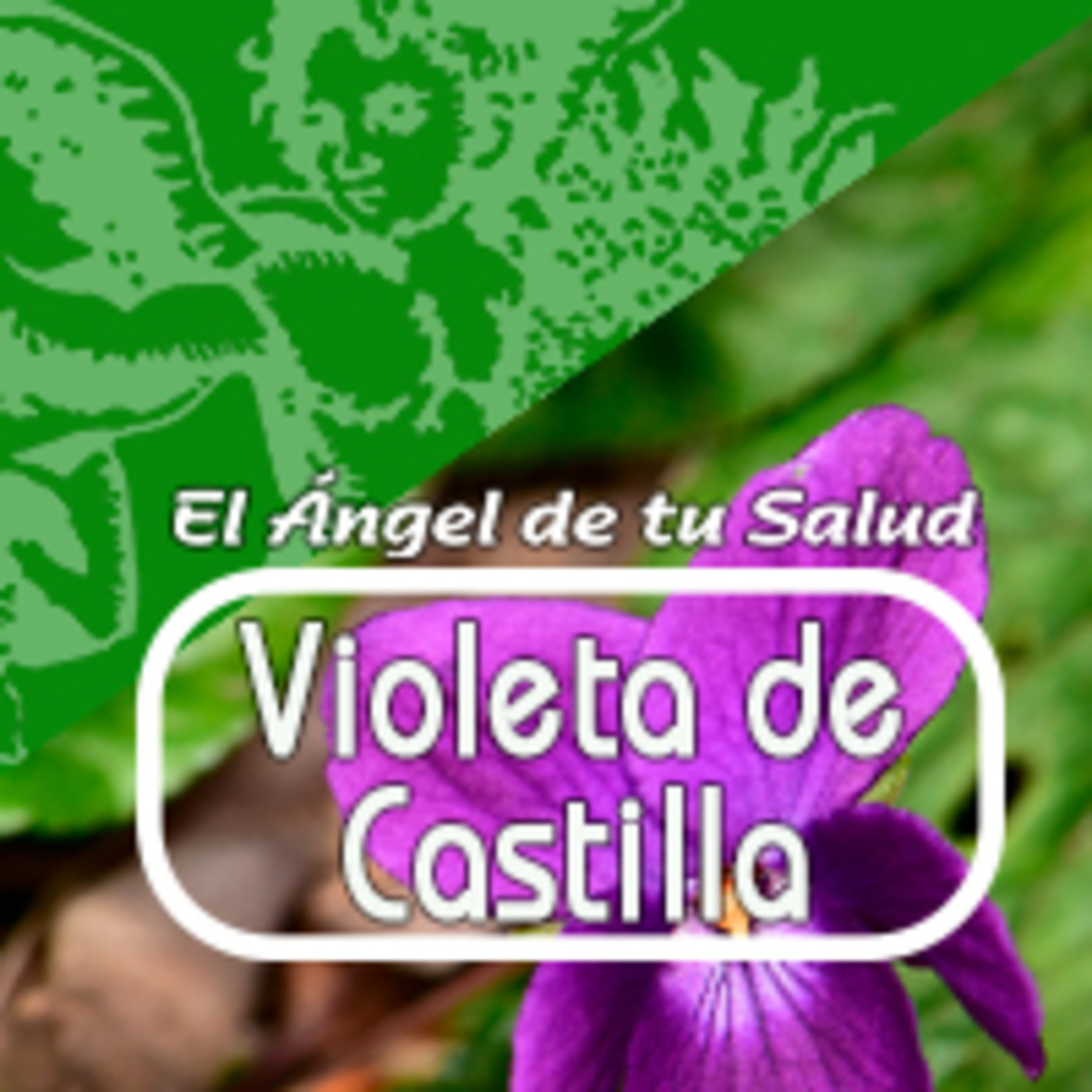 El Ángel de tu Salud - VIOLETA DE CASTILLA* episode artwork