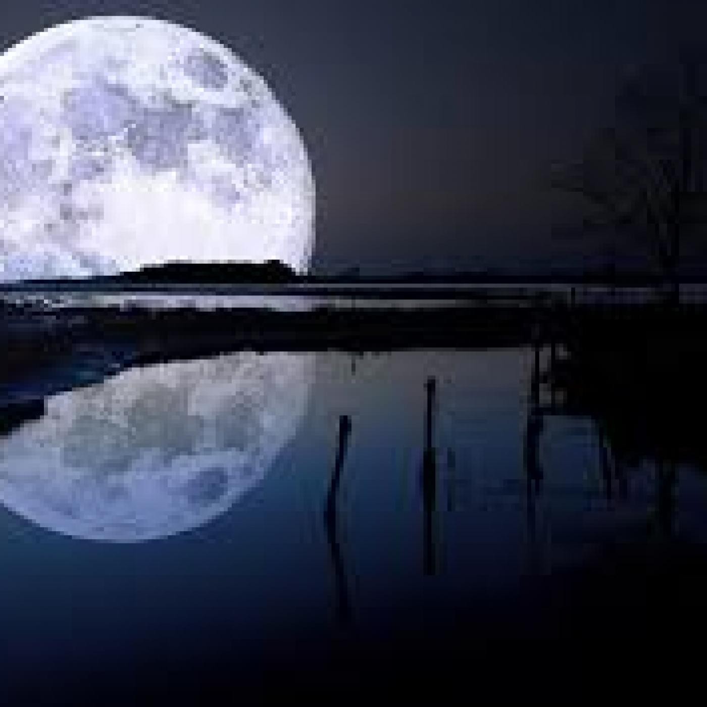 La Voz de la Noche