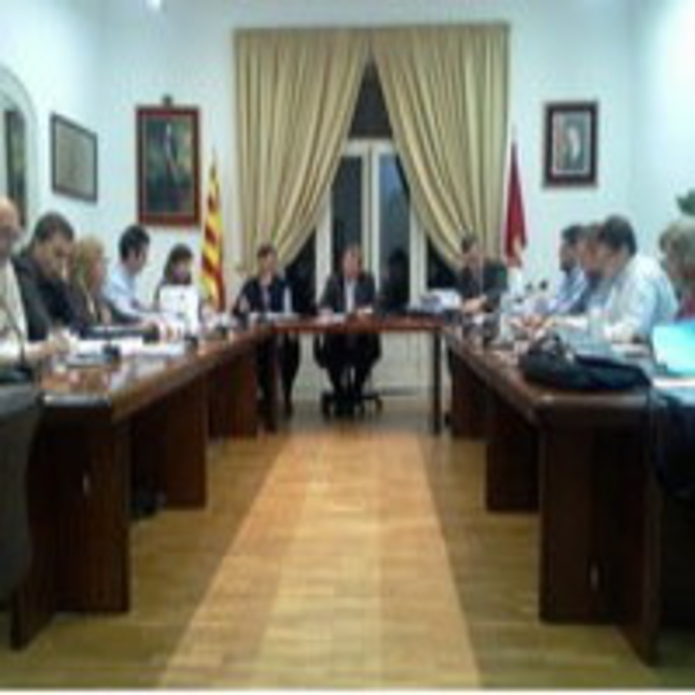 Plens municipals