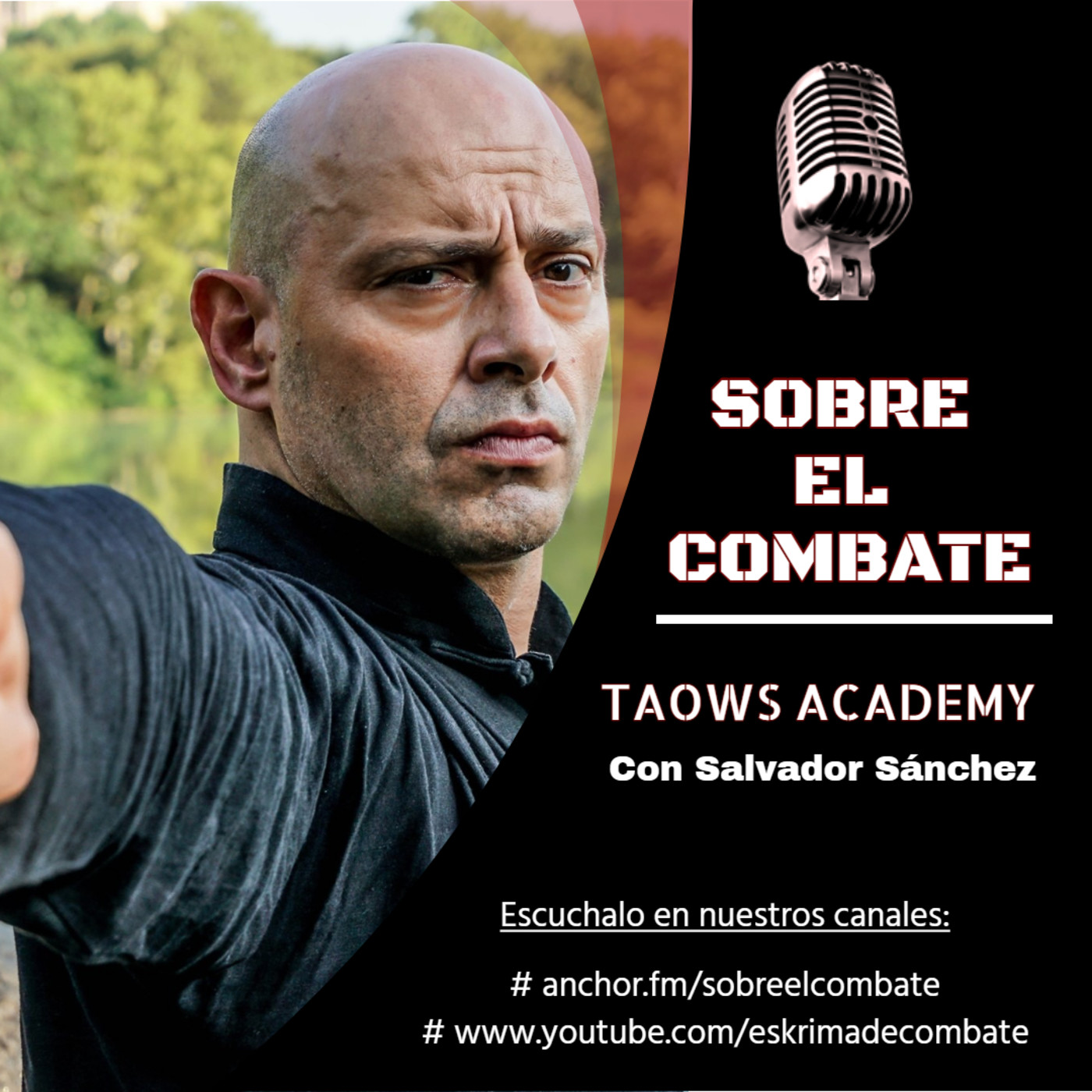 SOBRE EL COMBATE