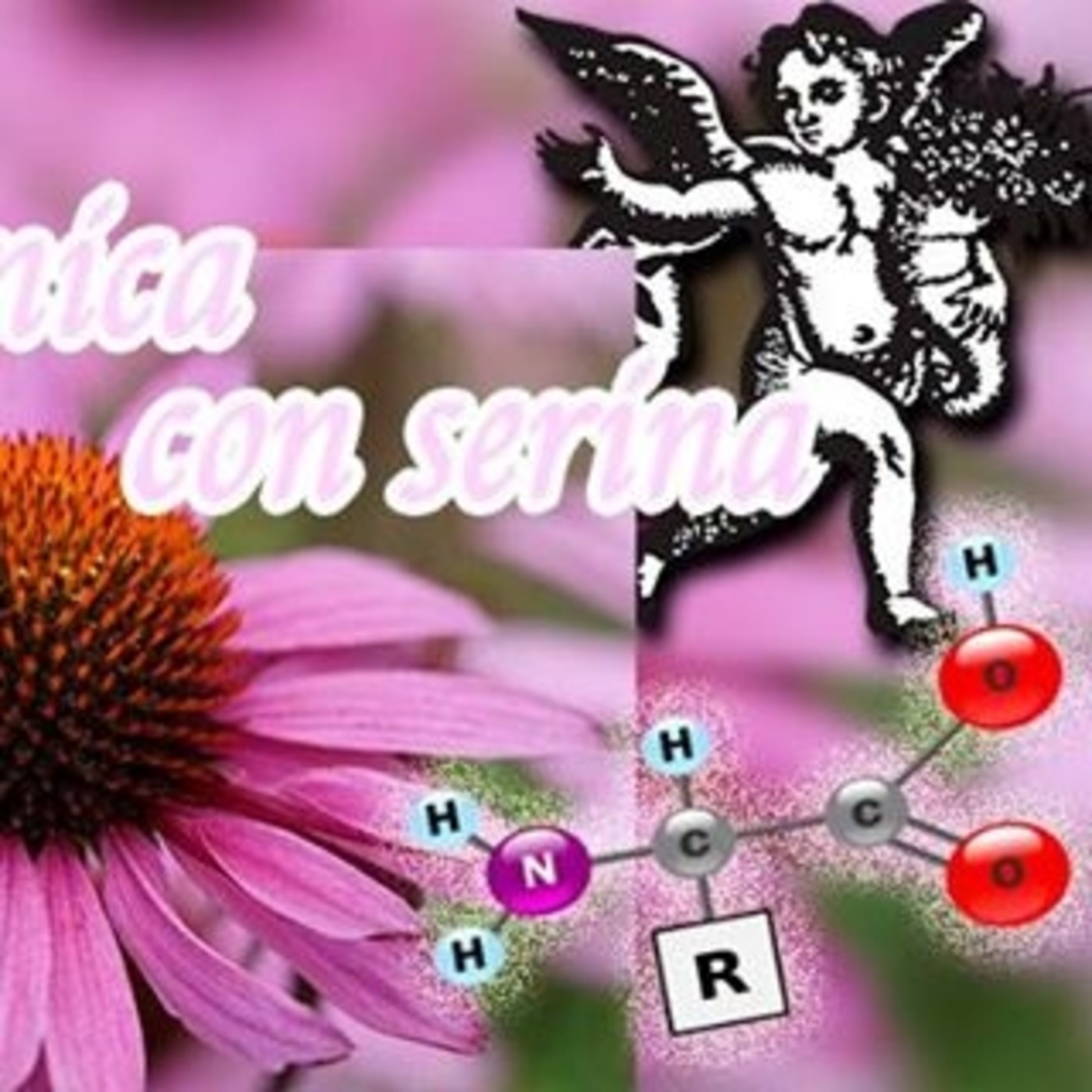 El Ángel de tu Salud - FLOR CÓNICA CON SERINA episode artwork